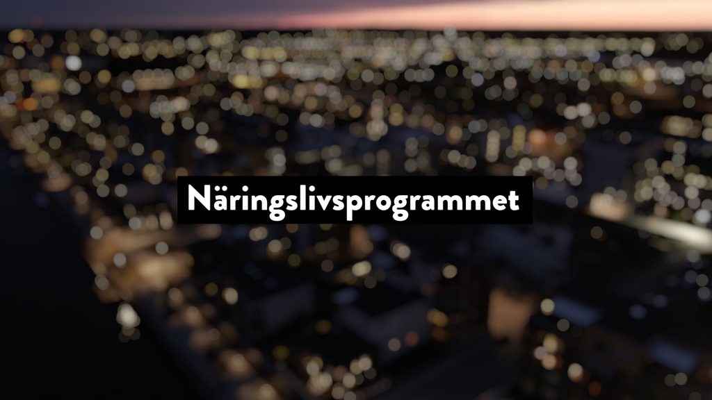 Gävle kommuns näringslivsprogram