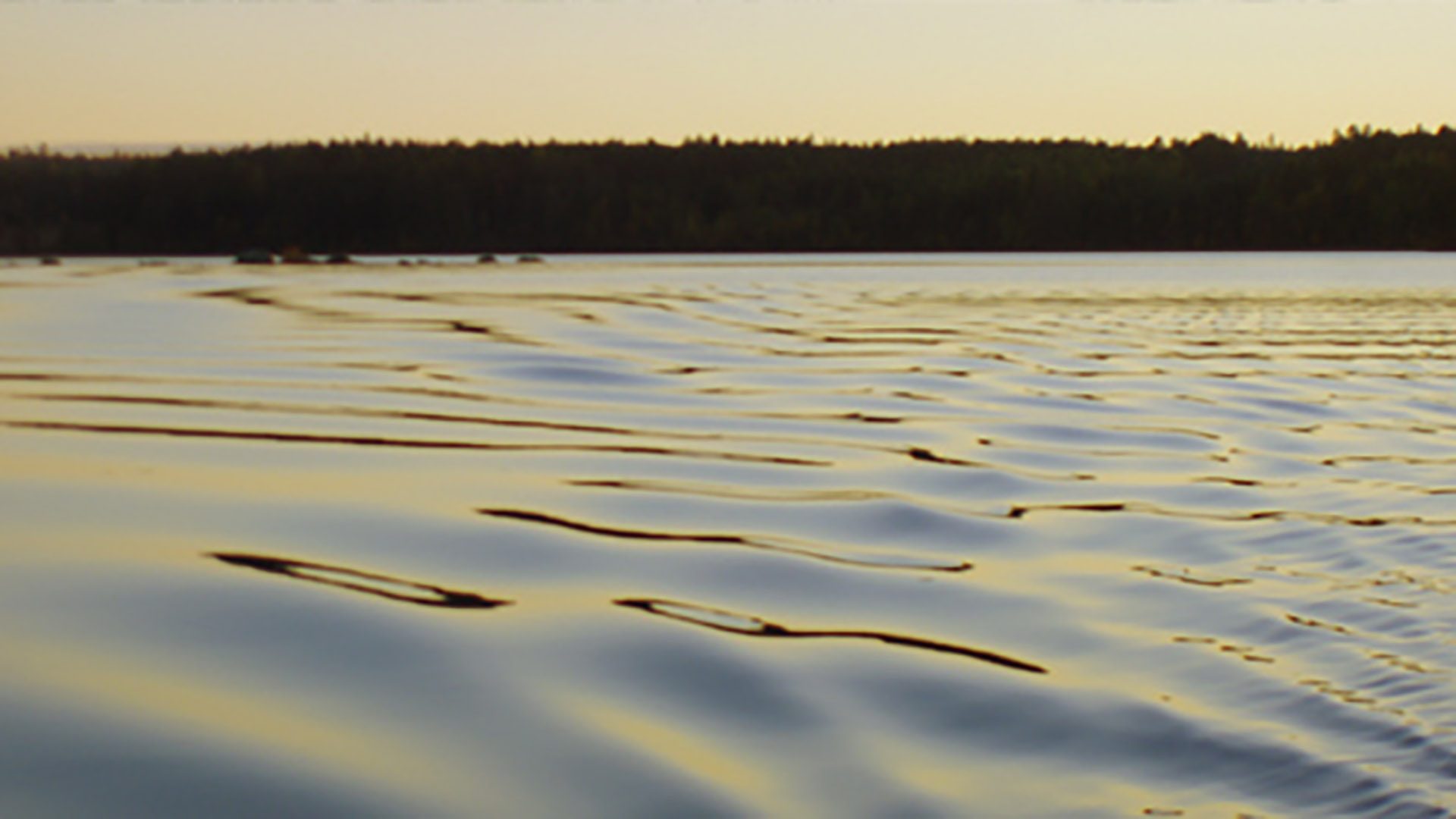 Vatten och skogsparti under solnedgång vid Smörnäs