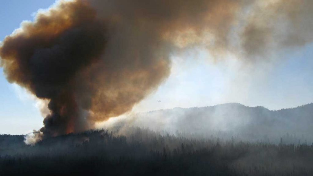 Drönarbild på skogsbrand