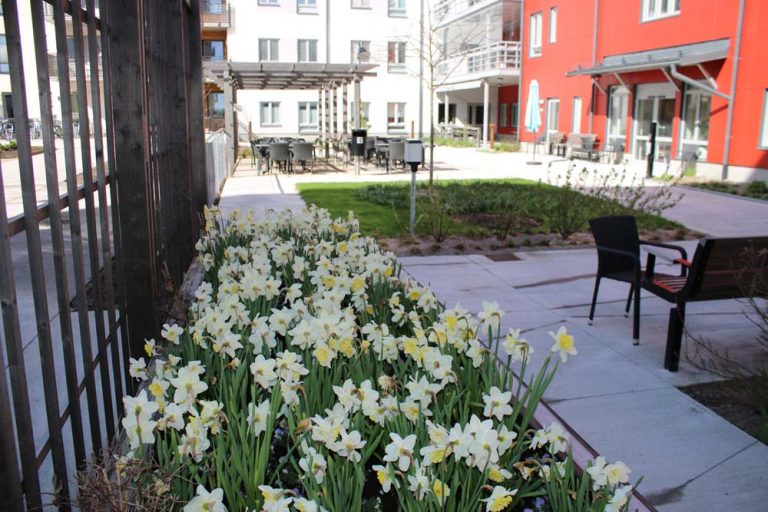 Blommande rabatter på innergården.