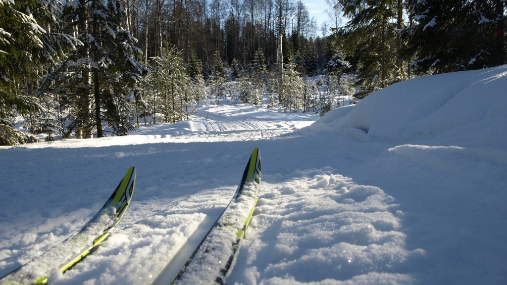 Längdskidor i snöigt skidspår i skog