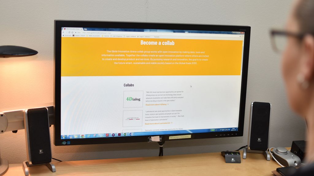 Datorskärm