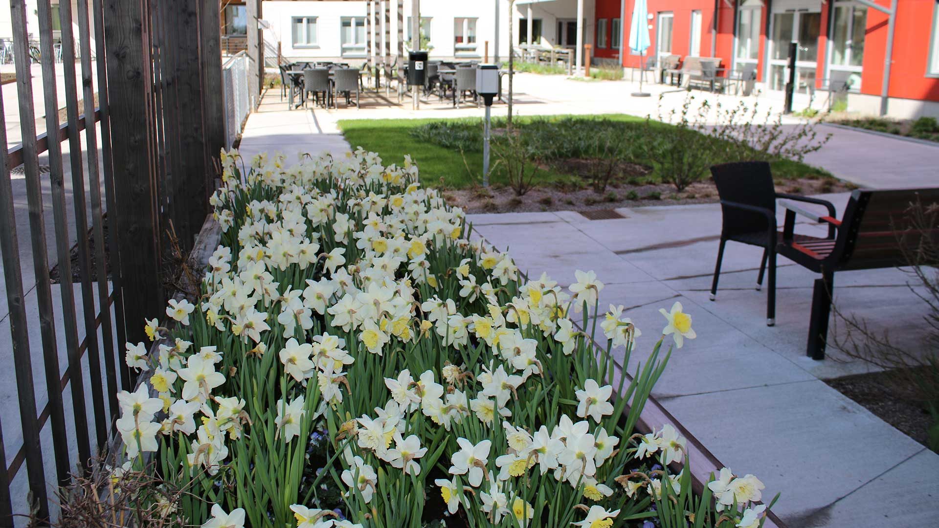 Gävle strand vård och omsorgsboende