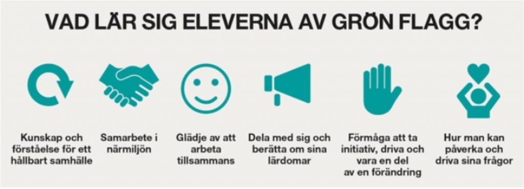 Vad lär sig eleverna om grön flagg