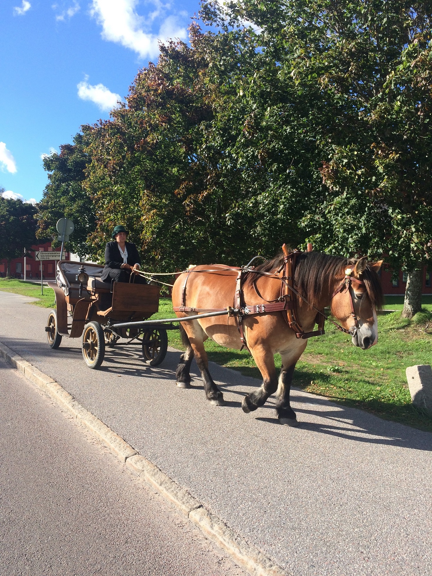 hÄST OCH VAGN