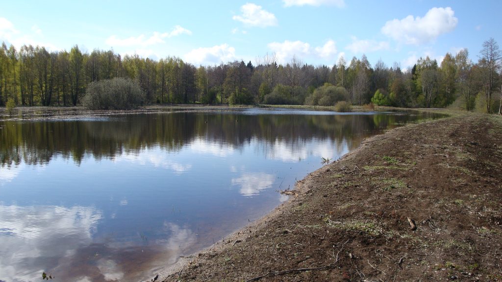 Sjöängssältorna