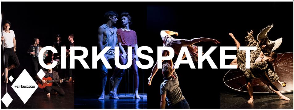 Musik, dans och akrobatik – cirkus i världsklass. Fyra cirkus – Gävle kommun