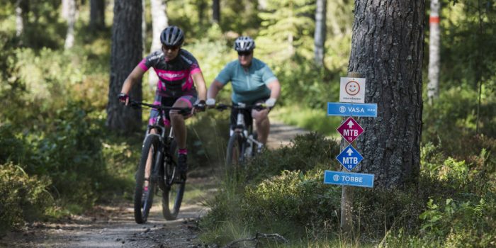 Två personer cyklar mountainbike i ett spår i skogen.