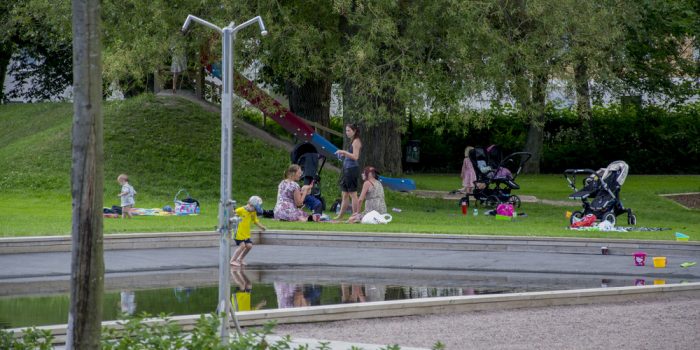 Barn och vuxna leker samt sitter på picknickfiltar i Stenebergsparken