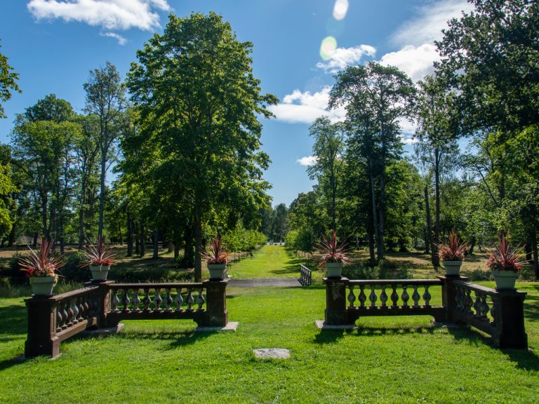 Grönska under en sommardag i Axmar bruk