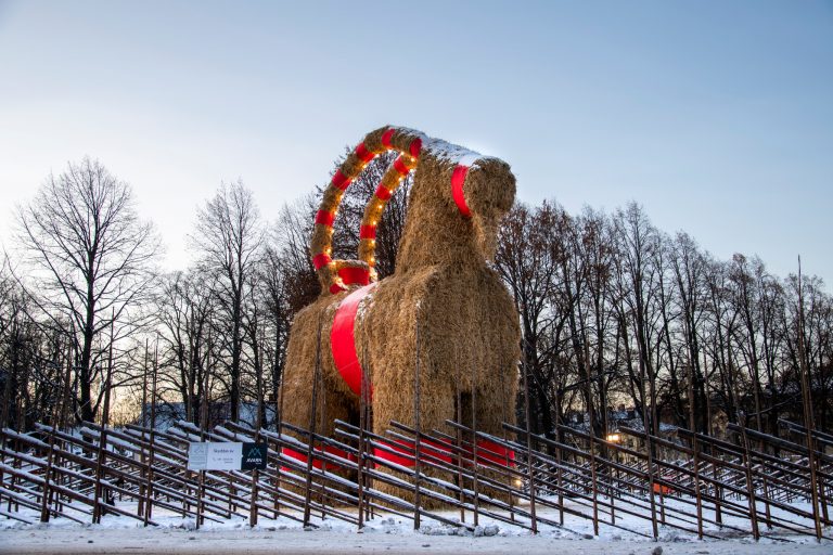 Gävlebocken innanför sitt säkerthetsstaket en klarblå vinterdag.