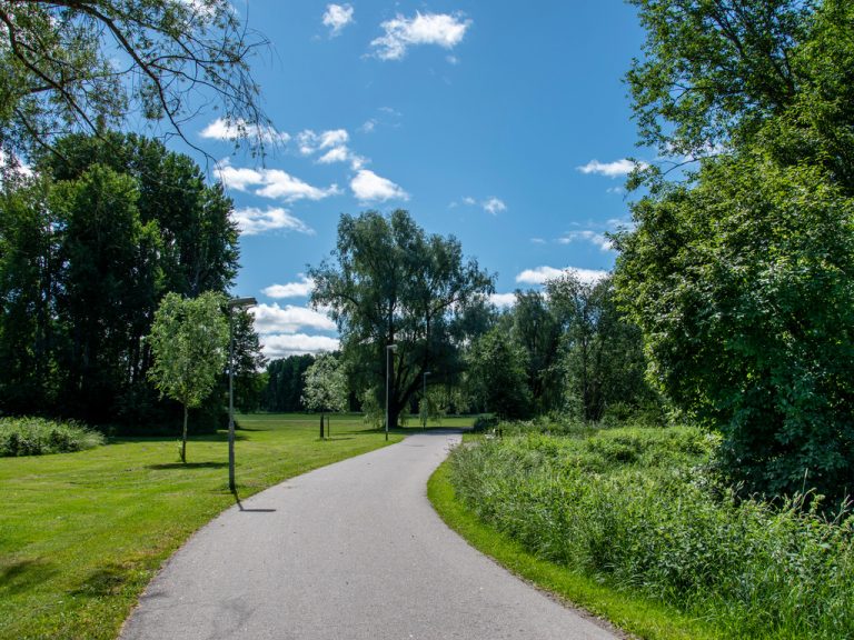Cykelväg längs Sätraängarna i Sätra en solig sommardag med grönt gräs och gröna träd på sidorna.
