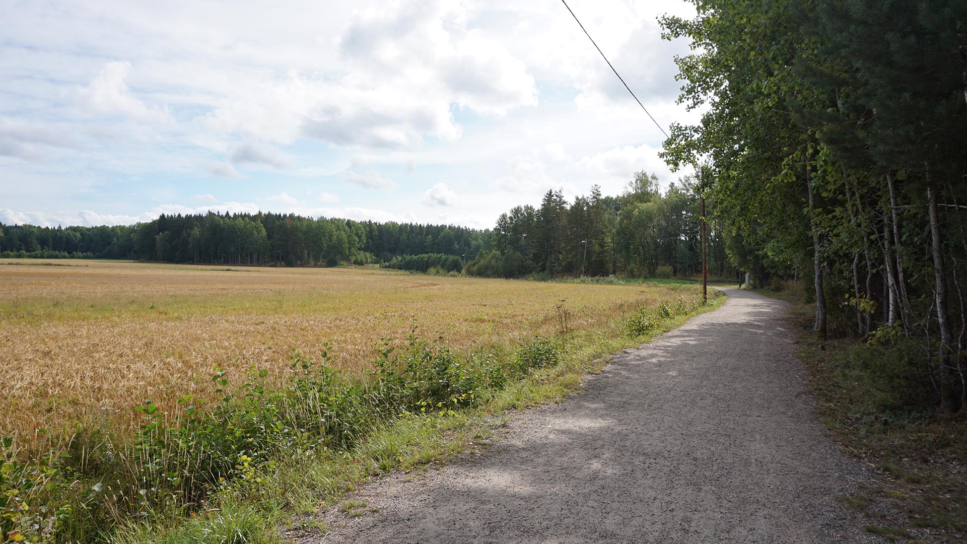 Motionsspår som har en åker på vänster sida och skog på höger sida om sig.