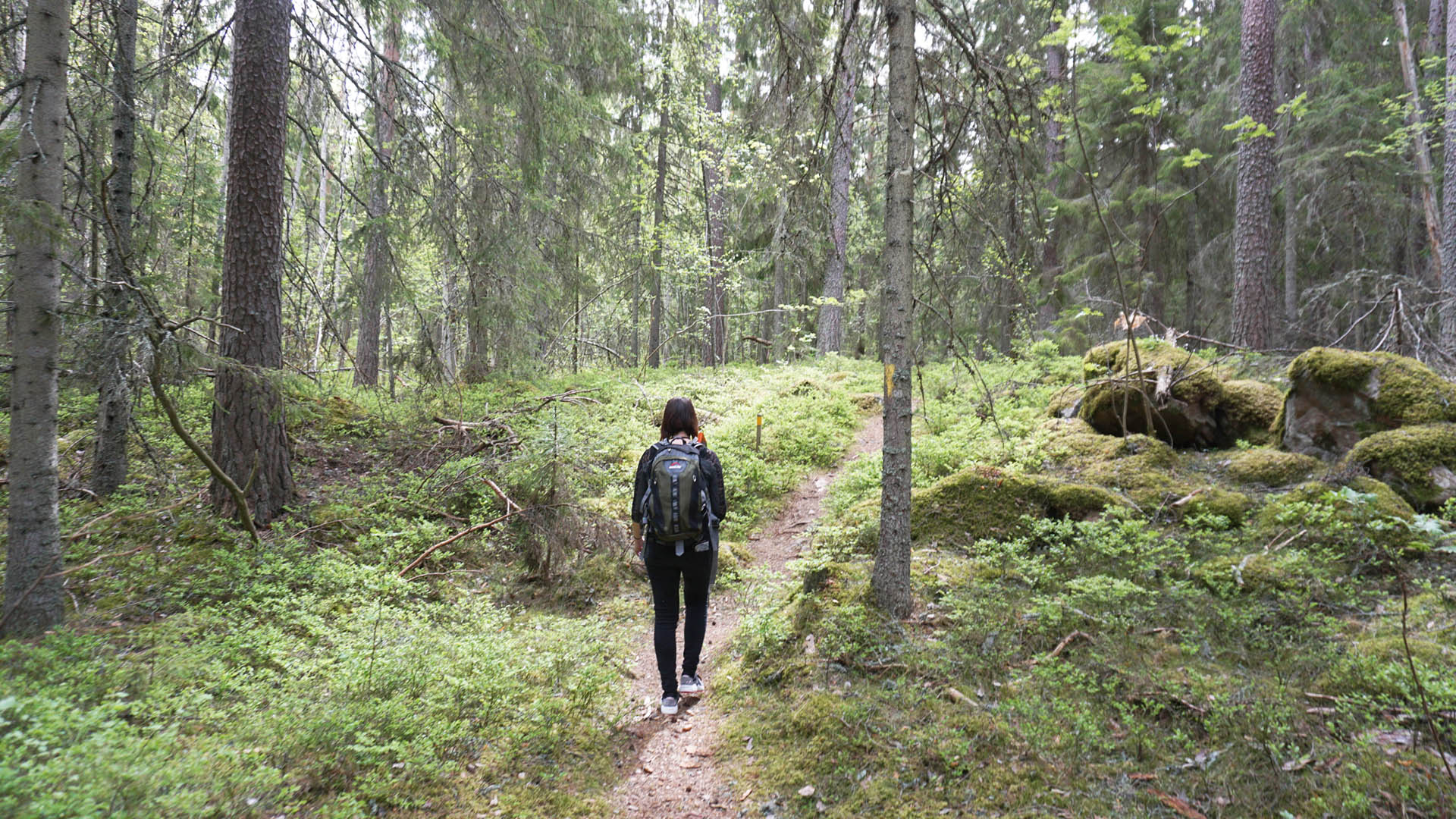 Kvinna vandrar längs en stig i skogen i Oslättfors.