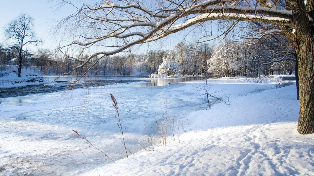 Sjö med natur täckt i snö en solig vinterdag.