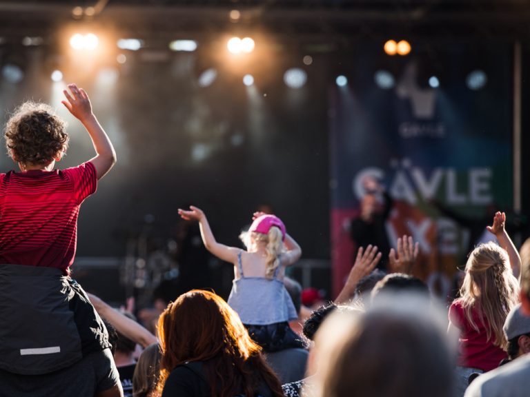 Publikhav vid Gävle stadsfest.