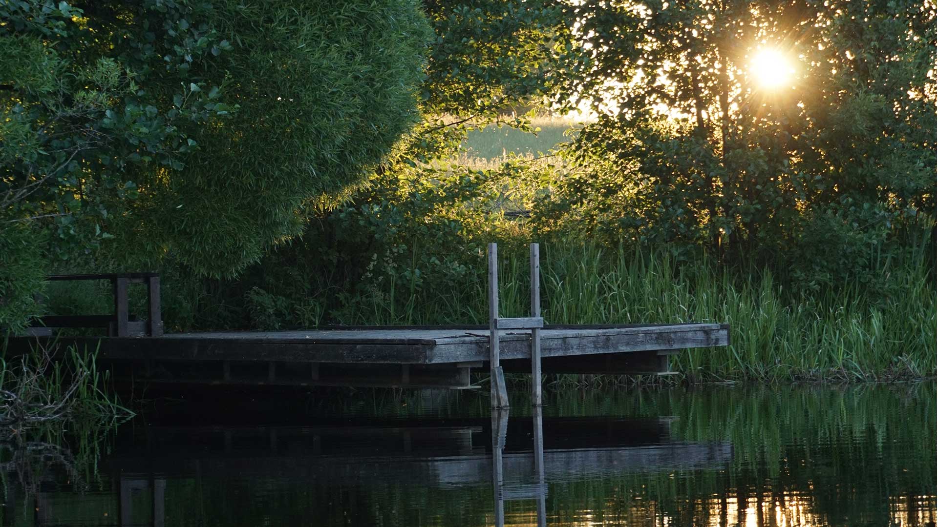 Brygga i Gavleån.