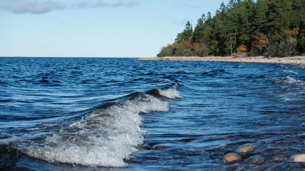 Kust vid Billudden. En våg rullar mot land.