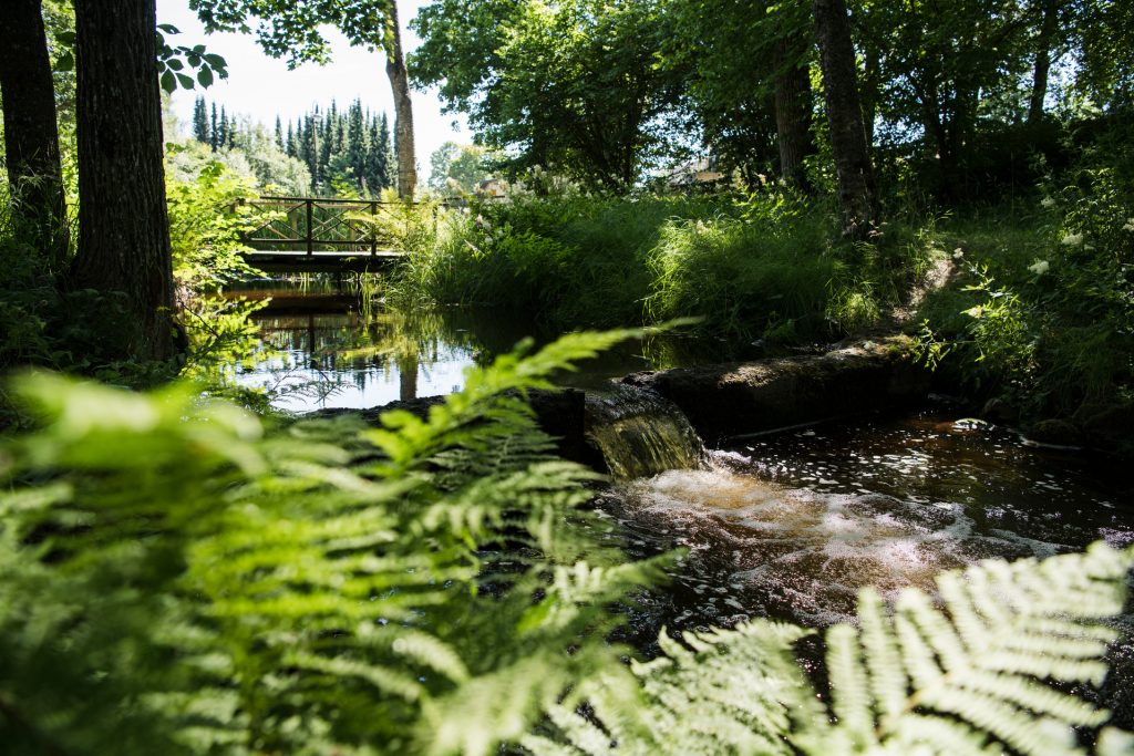 Träd och grönska runt Gavleån i Boulognerskogen.