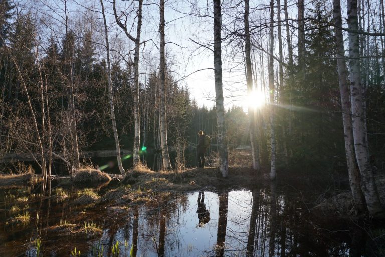 Vattenspegel i Skärjåns naturreservat
