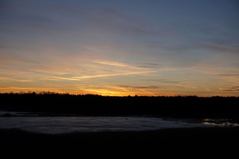 Fåglar i solnedgång vid Mårdängsjön