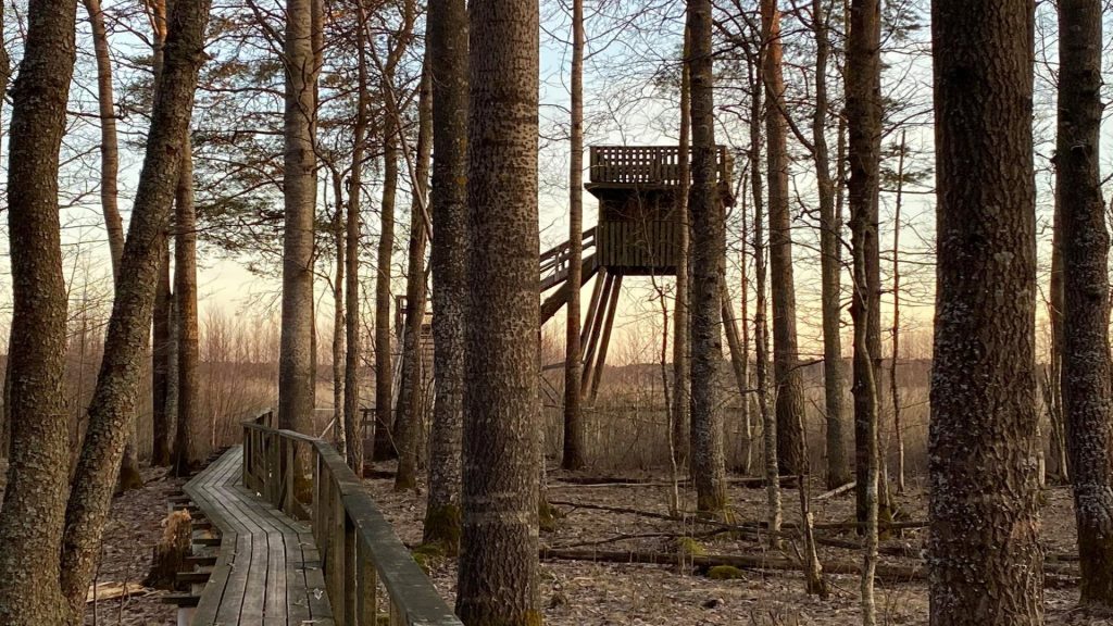 Mårdängsjöns fågeltorn