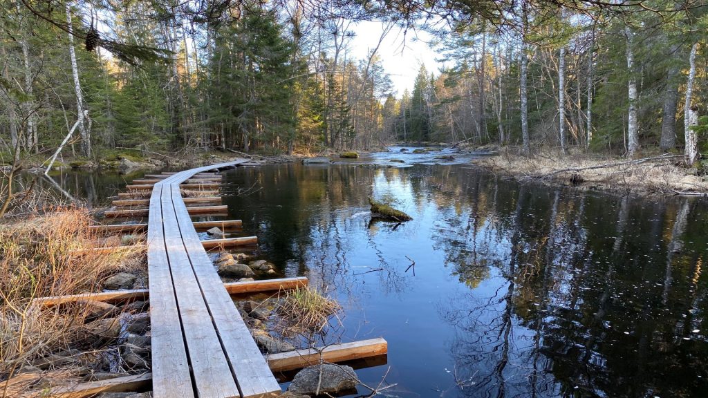Skärjåns naturreservat