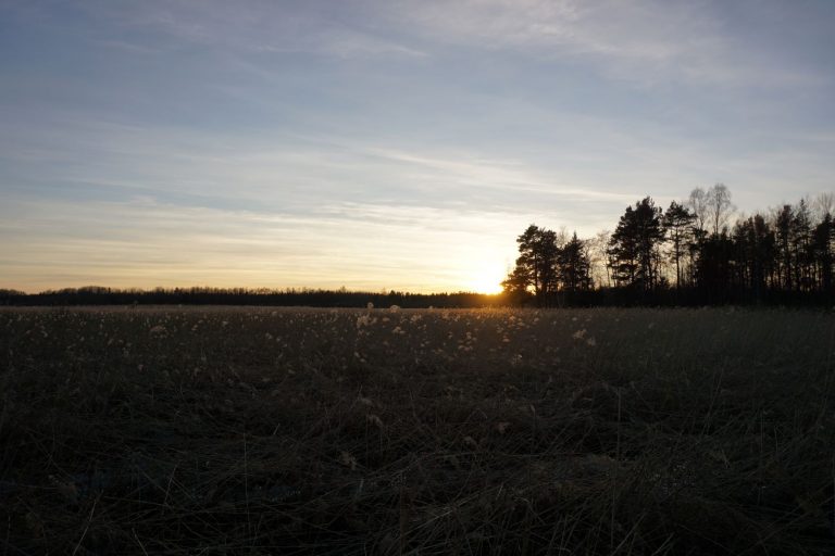 Solnedgång över äng påväg till Fågeltorn vid Mårdängsjön