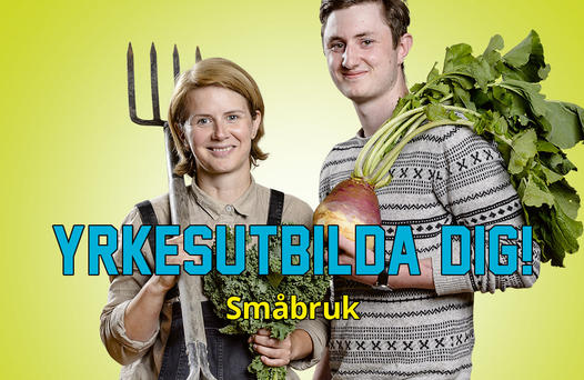 Yrkesutbilda dig, småbruk.