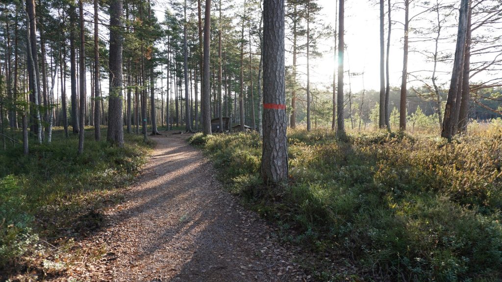Gästrikeleden i Hemlingby