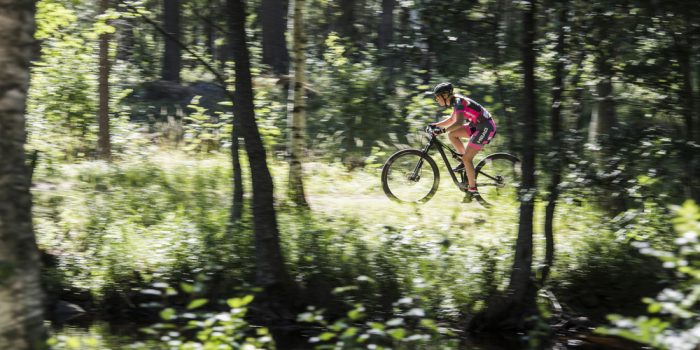 Mountainbike cykling i skogen.