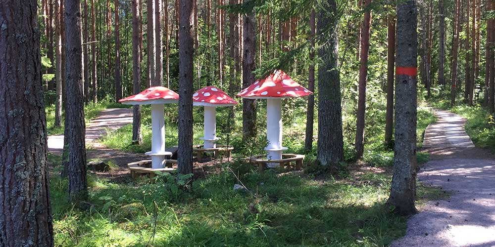Person åker längdskidor i Hemlingby