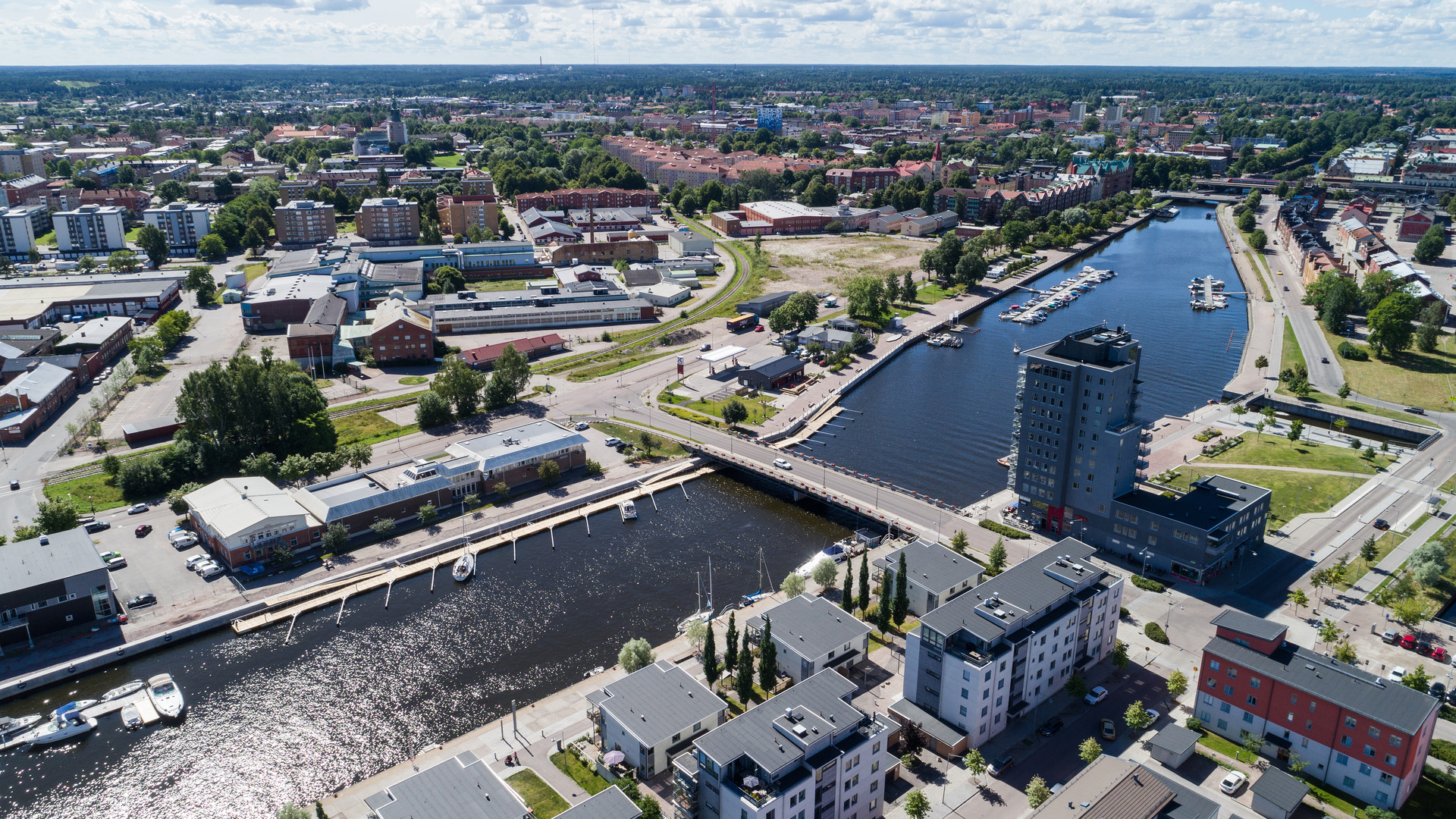 Dörnarbild över gävlestrand