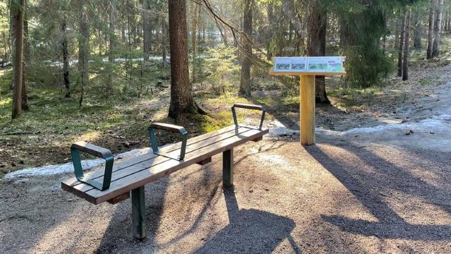 Parkbänk med skog i bakgrunden.