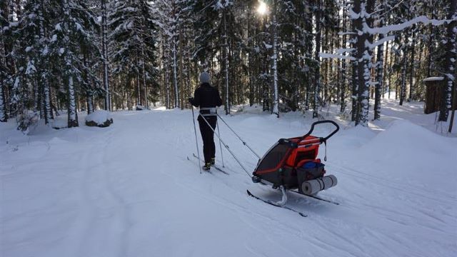 Kvinna som åker skidor med barnvagn