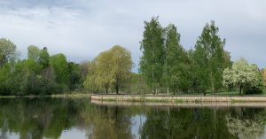 En udde med grönskande träd och en mur som avgränsar gräset från vattnet. Gavleån rinner förbi. 