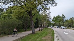 Bilar som åker på Västra Vägen som går längs med Stadsträdgården. En kvinnlig cyklist cyklar på gång- och cykelvägen som går mellan en trädallé.