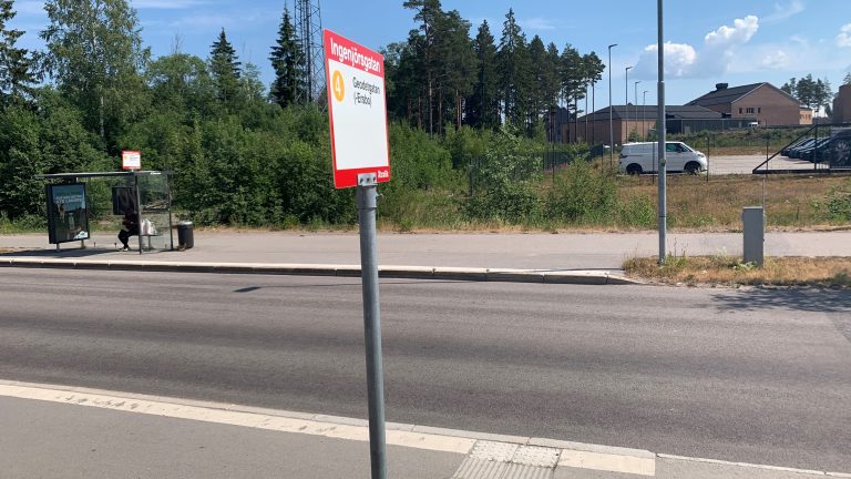 Bilden visar det skogsområde mellan hållplats Ingenjörsgatan och Hemlingborg där åtgärd 6 planeras att genomföras