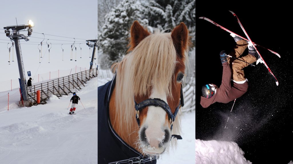 Hemlingbybackens dag