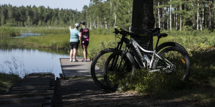 Två mountainbikes lutande mot ett träd. I bakgrunden står två personer med cykelhjälmar på en brygga vid en sjö.