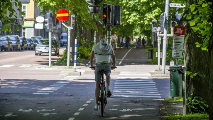 Bild på en cyklist som cyklar längs Esplanaden mellan gröna träd