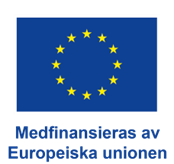 EU:s logotyp