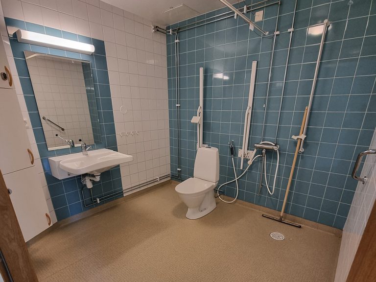 Ett badrum med blått kakel, en toalett, ahndfat