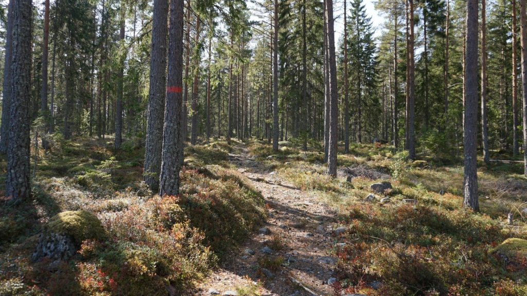 Vandring Gästrikeleden Etapp 17