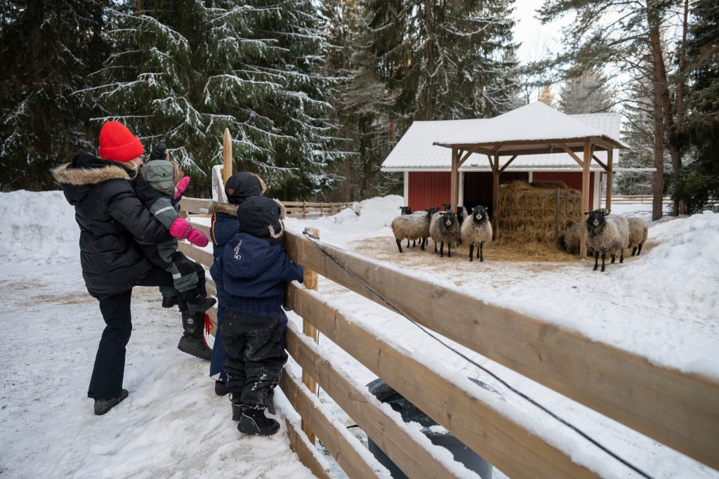 Vuxen och barn som står och kollar på djur i en hage under vintern.