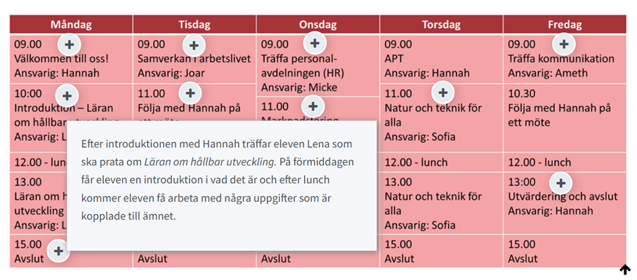 Exempelbild praoschema