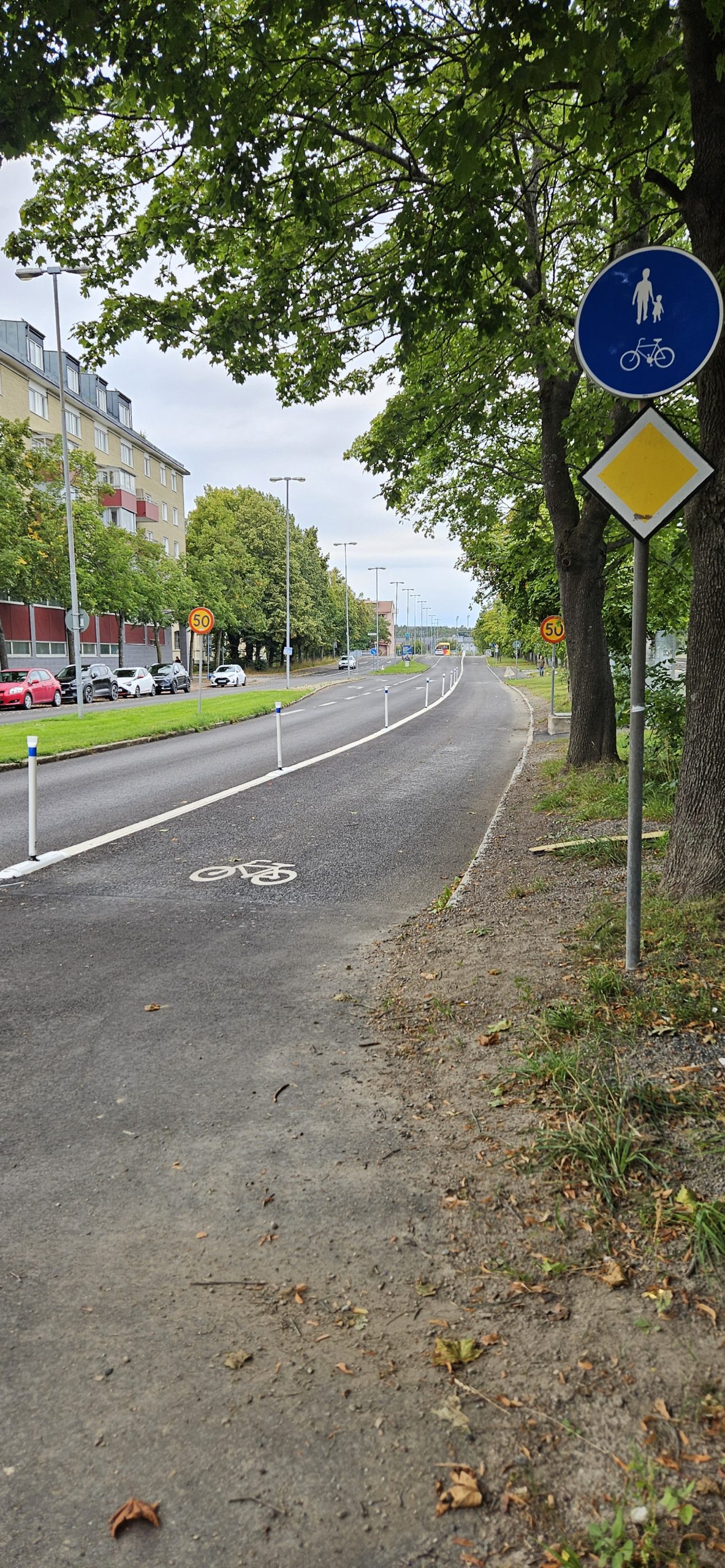 En cykelbana