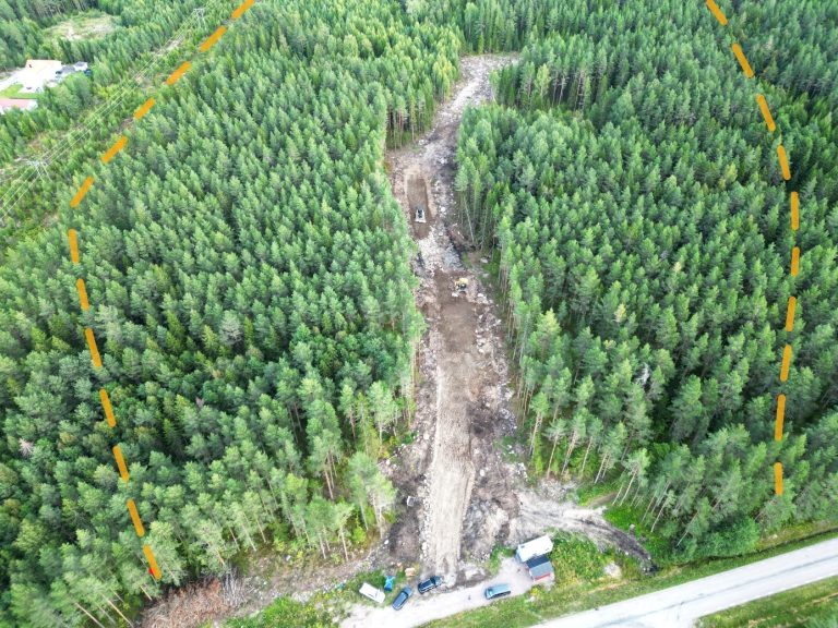 Skogsområde med markering där det nya bostadsområdet kommer byggas.