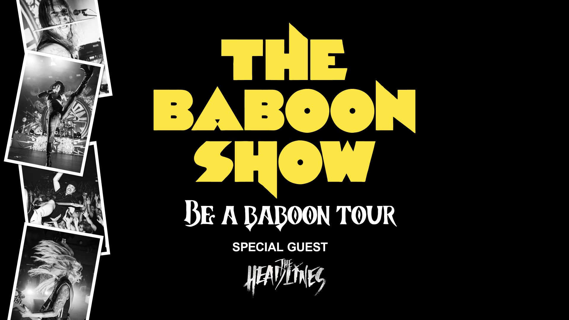 The Baboon Show
