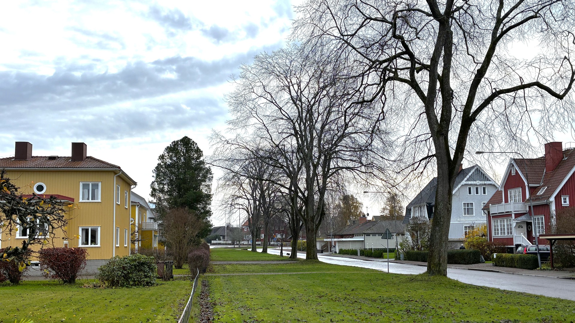 Almar vid Västra RIngvägen